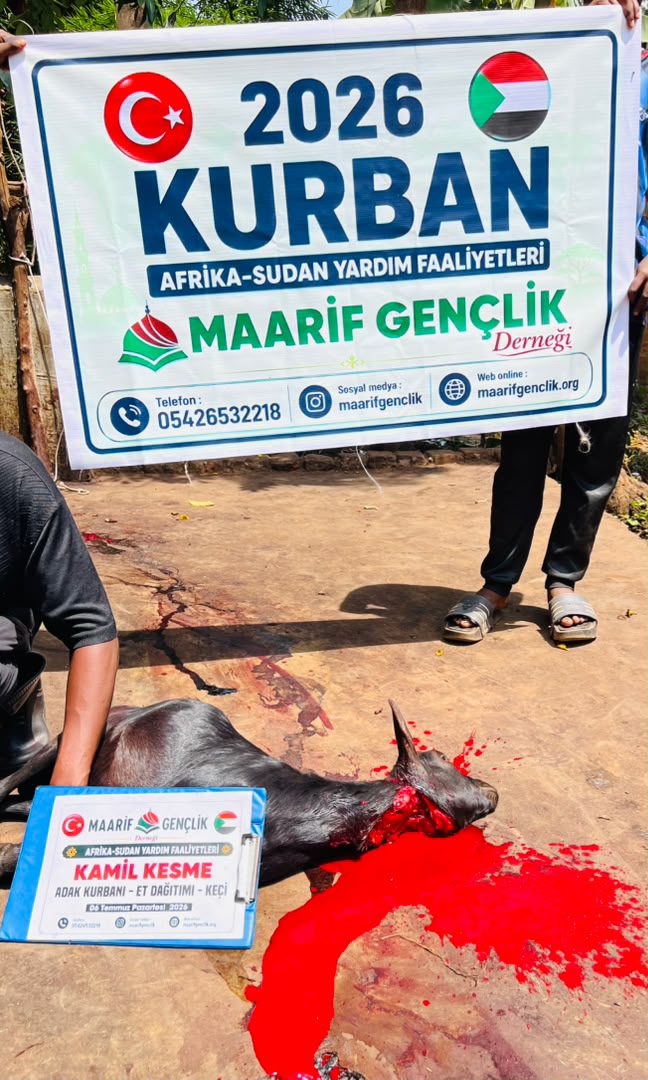 Maarif Gençlik eğitim programına katılım