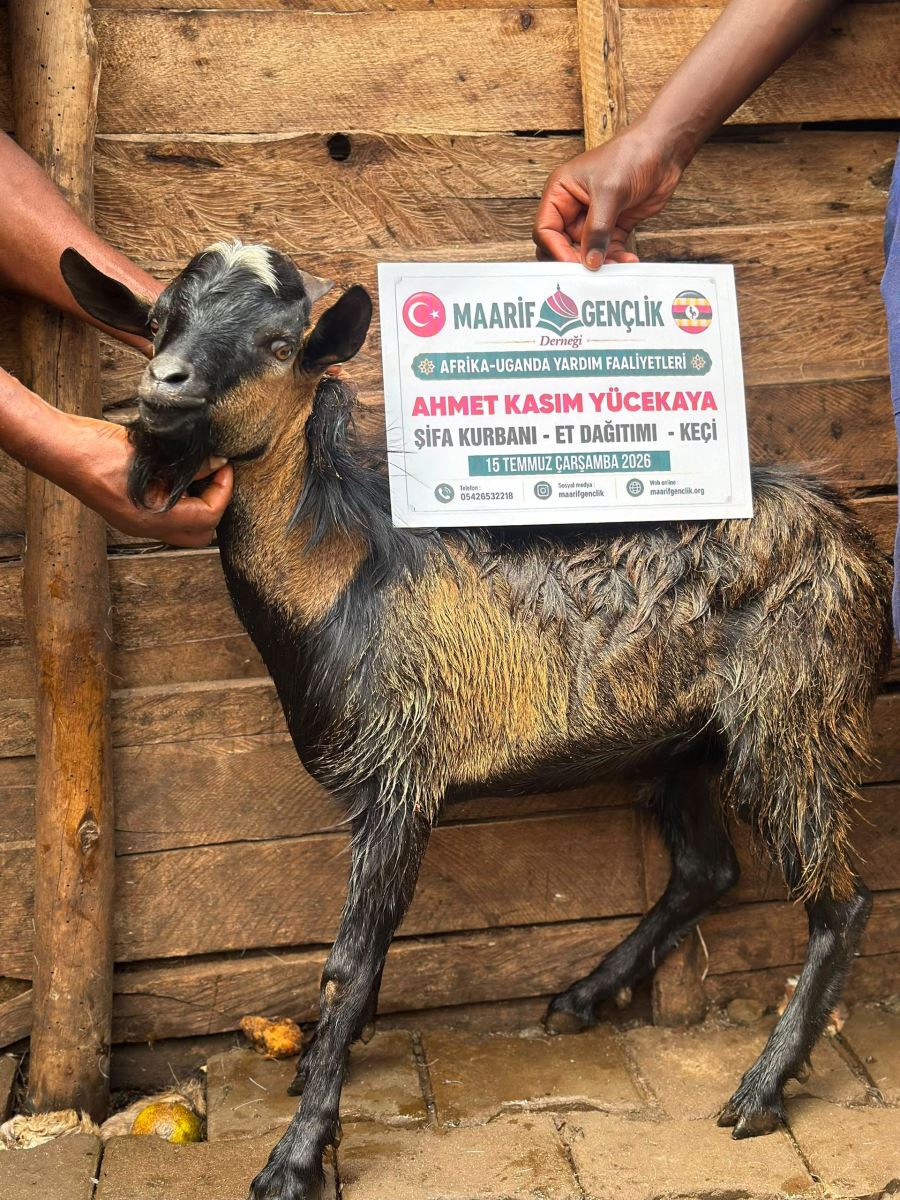 İhtiyaç sahiplerine kurban yardımı